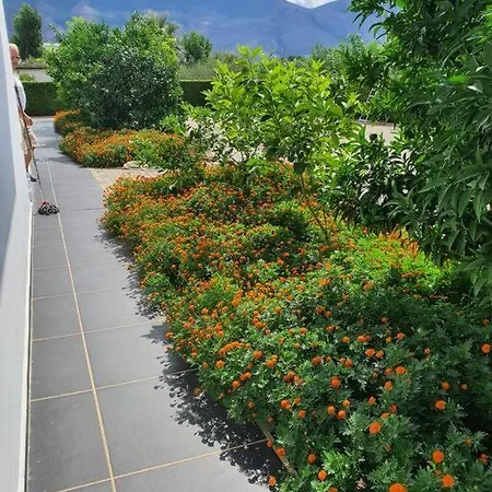 Valbona By Apartment *